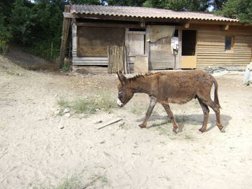 Logement Entier La Tour-D'aigues 30052-11