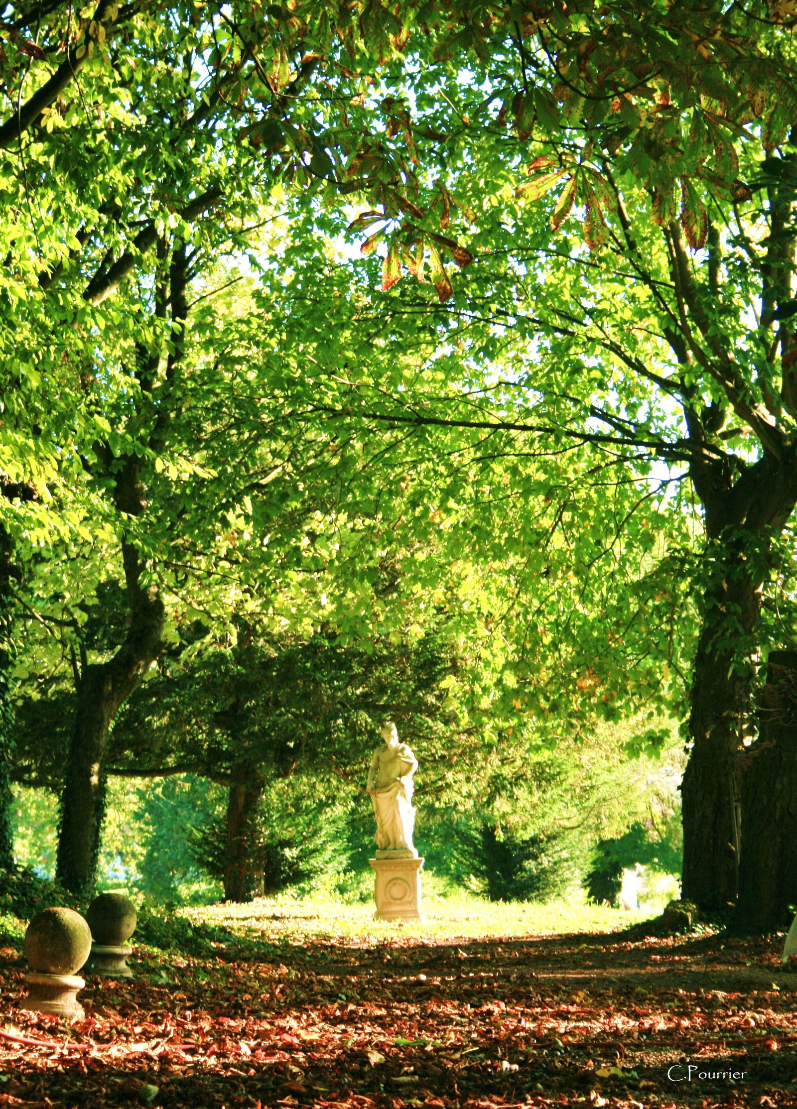 Unabhängiges Studio Condé-sur-Aisne 68799