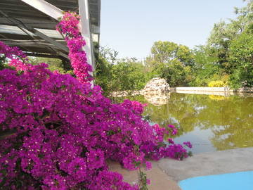 Logement Entier Claira 85667-11