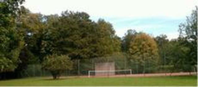 Homestay Amillis 40965