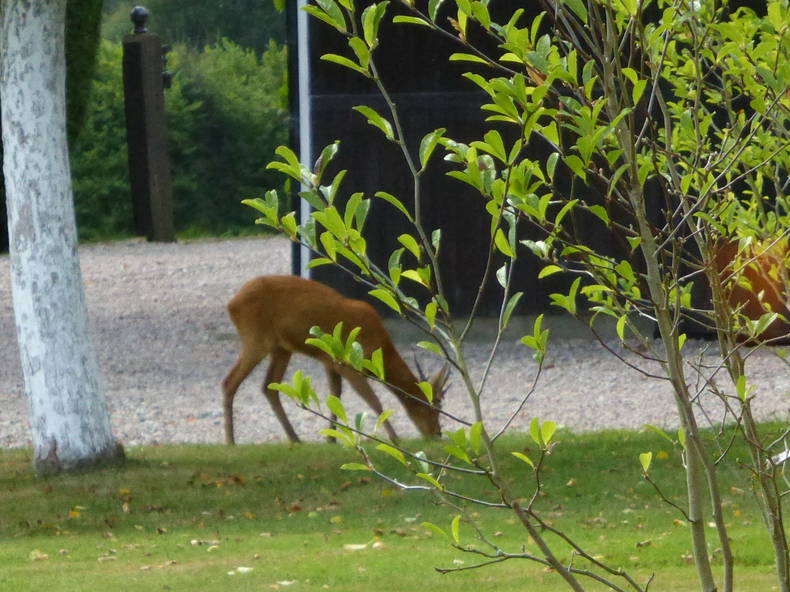 Tutta La Casa Marolles 29236-3