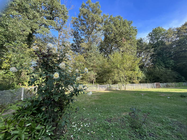 Gastfamilie Courtenay 305336-4