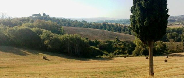 Independent Studio Chiusi 48050