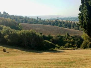 Chambre À Louer Chiusi 48050