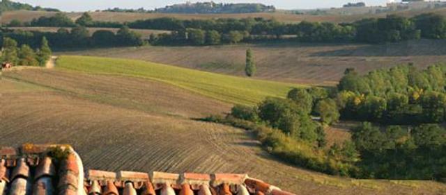Independent Studio Chiusi 48050