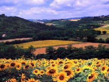 Logement Entier Chiusi 48050-7