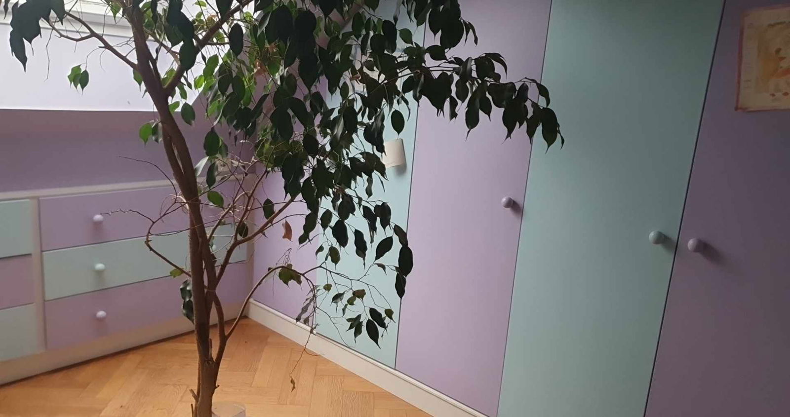 Homestay Sonchamp 439889