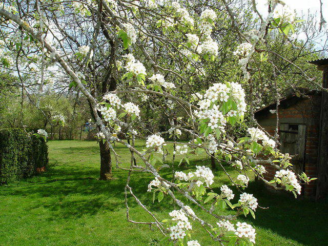 Chambres D'hôtes Sauviat-sur-Vige 31847-4