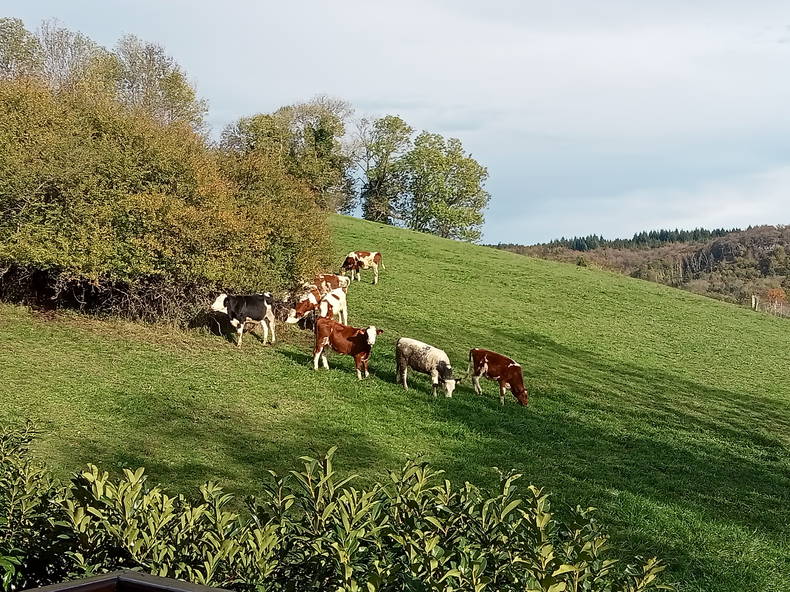 Gastfamilie Nonglard 308132-1