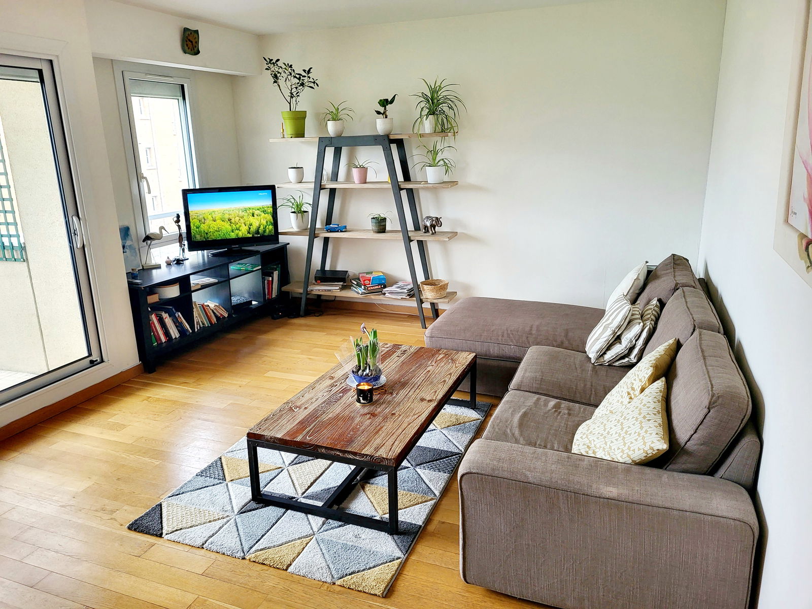 Kolokasie Courbevoie 230576