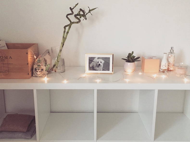 Gastfamilie Ferney-Voltaire 332145-2