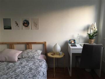 Room For Rent Ferney-Voltaire 332145