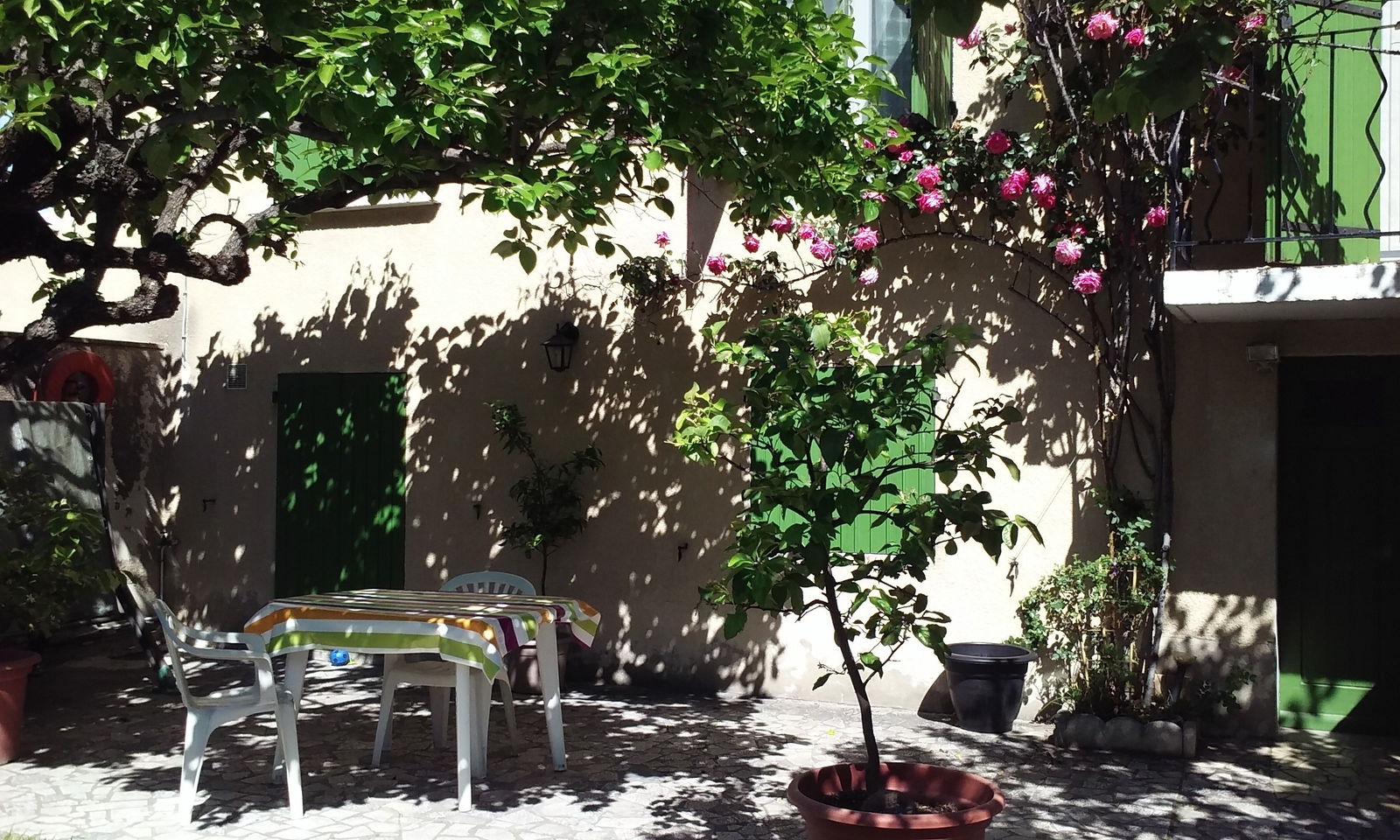 Independent Studio Avignon 264881