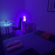 Independent Studio Mulhouse 609404