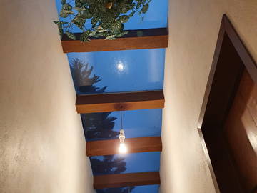 Homestay México D.f. 262281-8