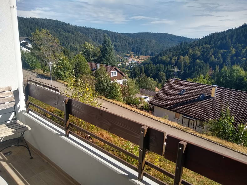 Ganzes Haus Todtmoos 265620-5