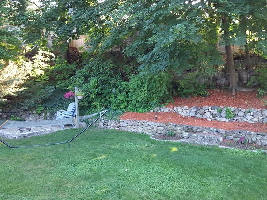 Homestay Lynn 143176-3