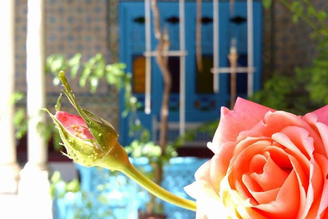 Bed And Breakfast Marrakech 113762