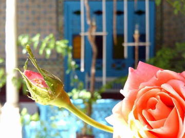 Chambre D'hôte Marrakech 113762-10