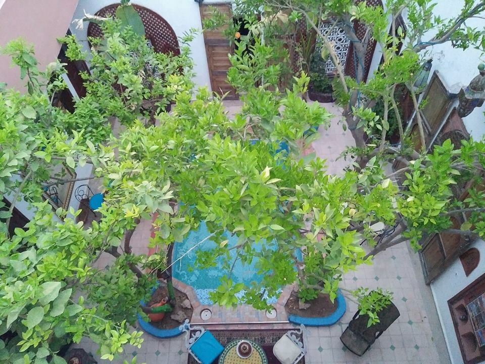 Bed And Breakfast Marrakech 113762