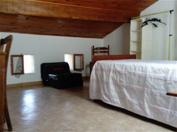 Room For Rent Albi 163073