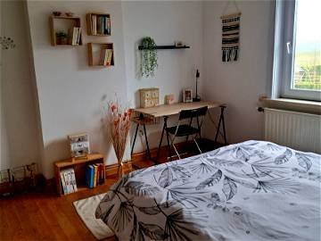 Roomlala | Cozy Room