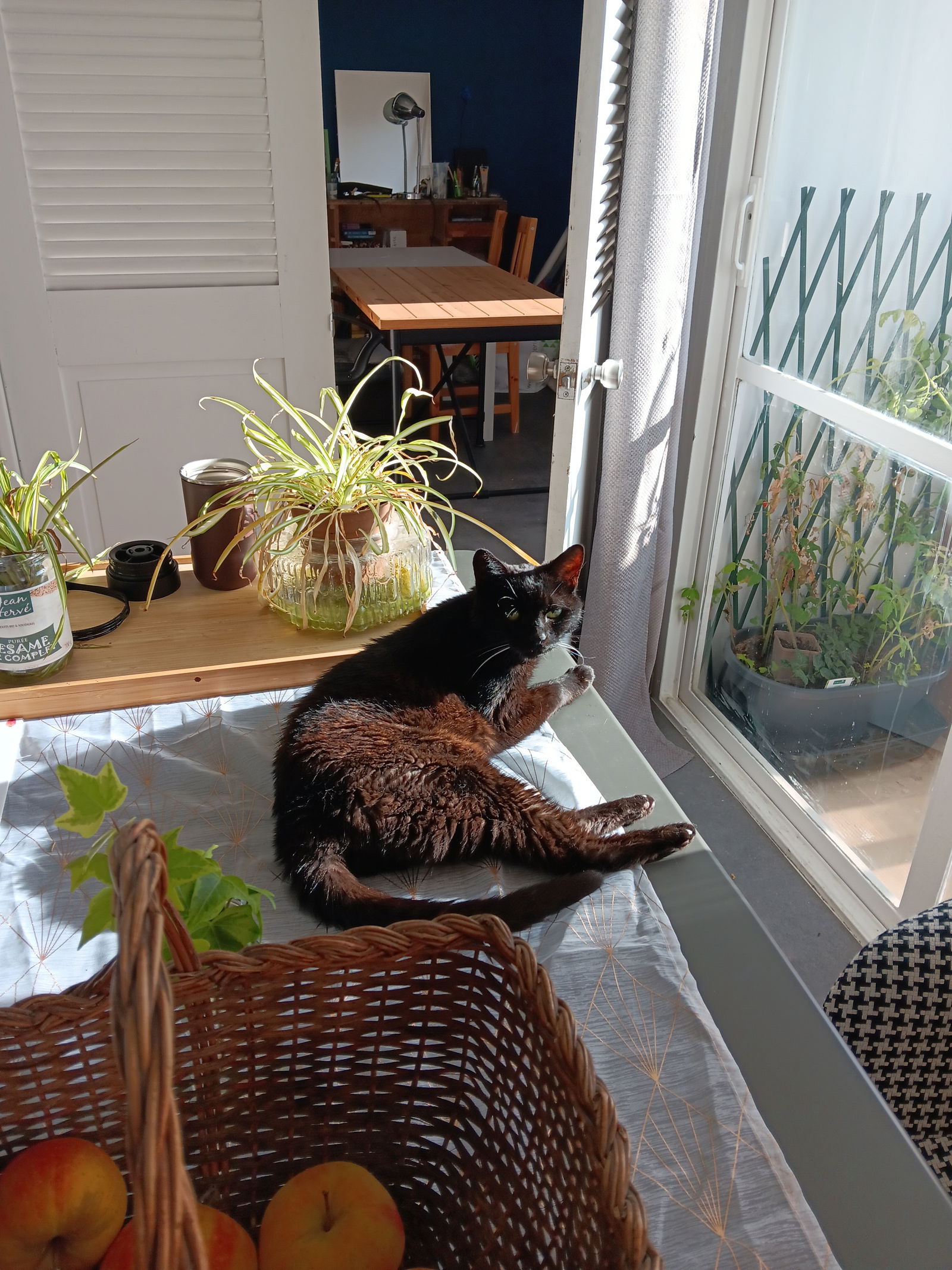 Homestay Vénissieux 367901