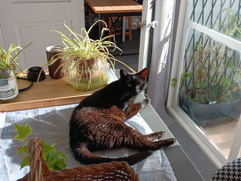 Quedarse En Casa Vénissieux 367901-3