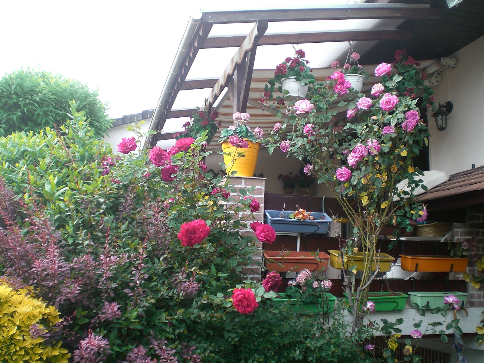 Homestay Saint-Étienne-du-Rouvray 121114