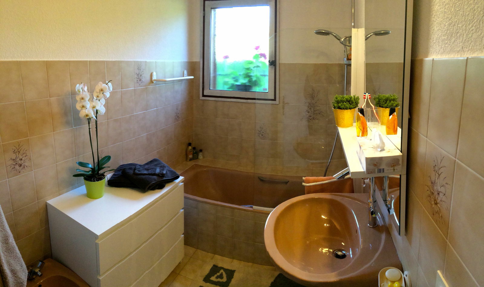 Homestay Sauverny 91217