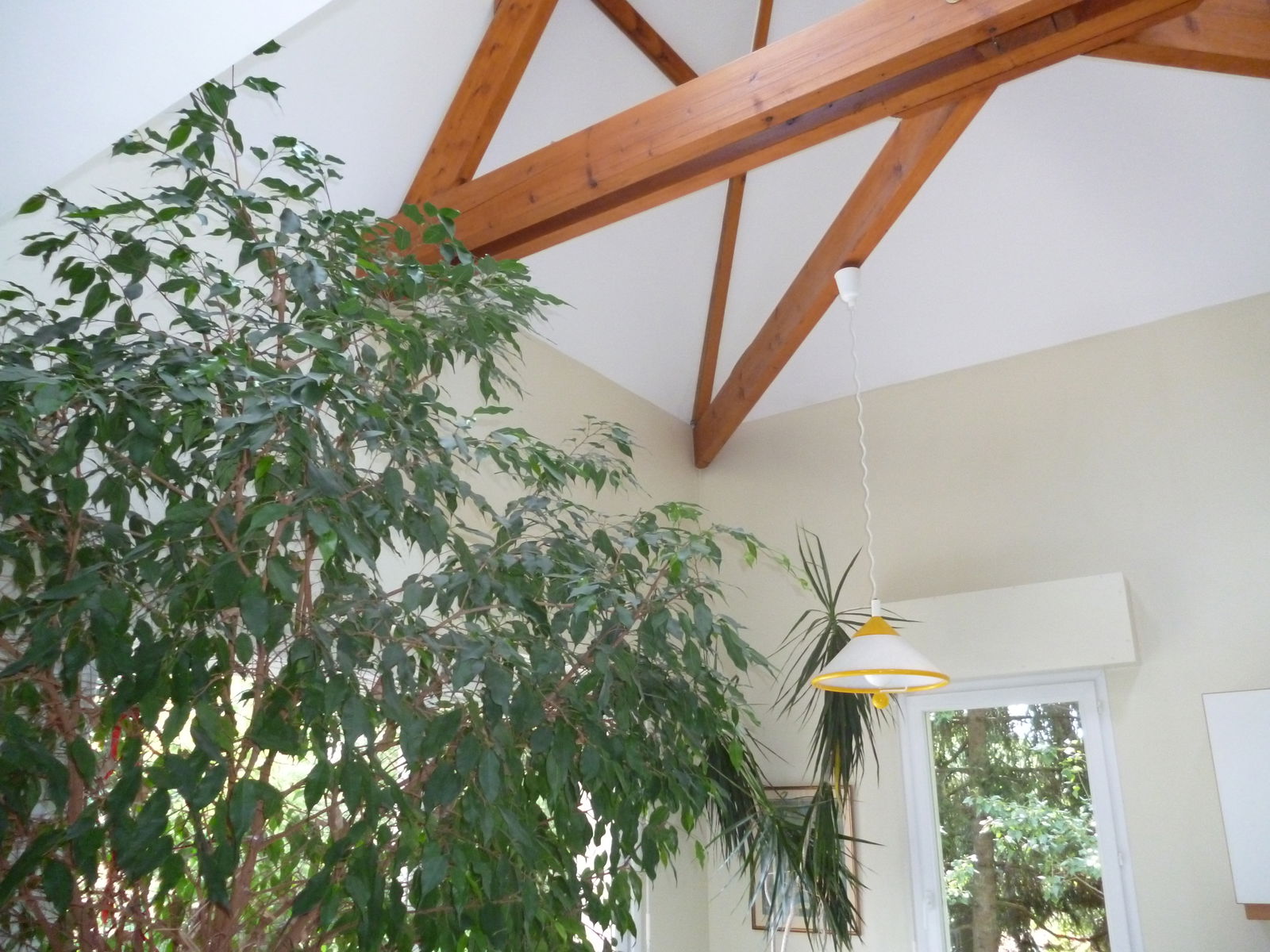 Bed And Breakfast Saint-Jean-de-Braye 178255