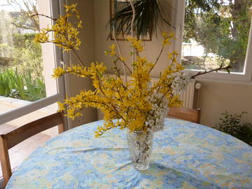 Chambre D'hôte Saint-Jean-De-Braye 178255-10