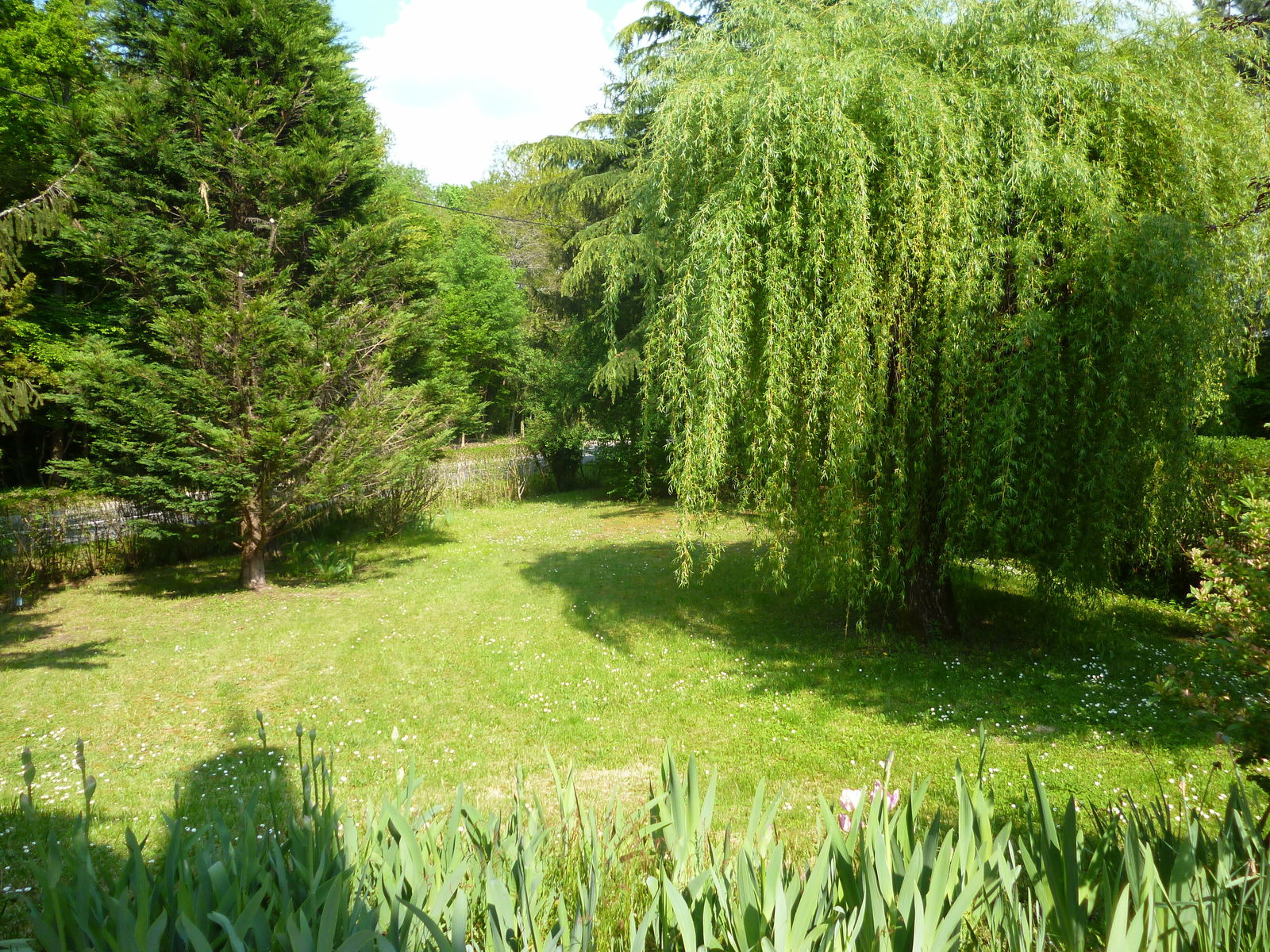 Bed And Breakfast Saint-Jean-de-Braye 178255