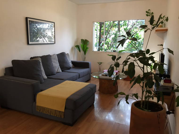 Homestay México D.F. 232923