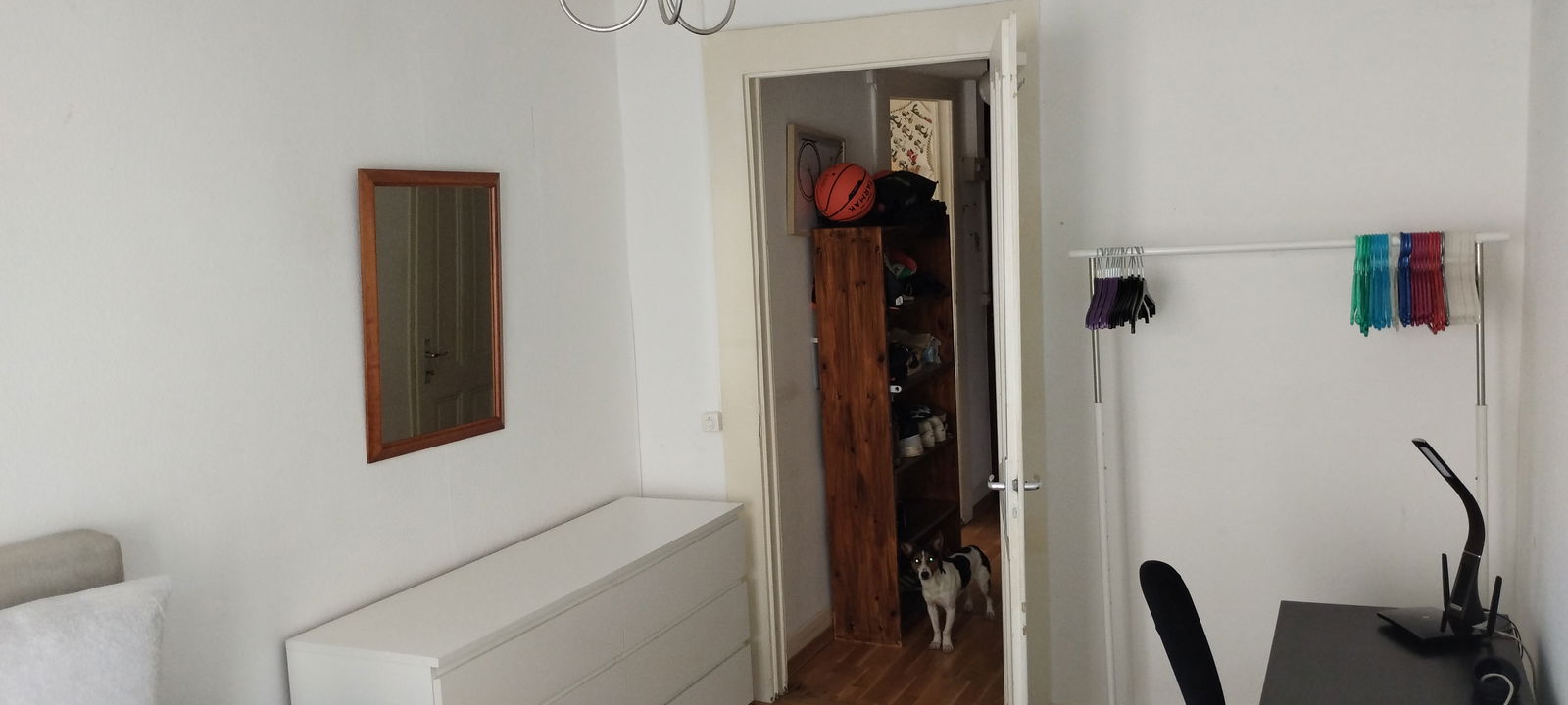 Homestay Genève 237020