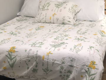 Chambre Chez L'habitant 10456 233164-4