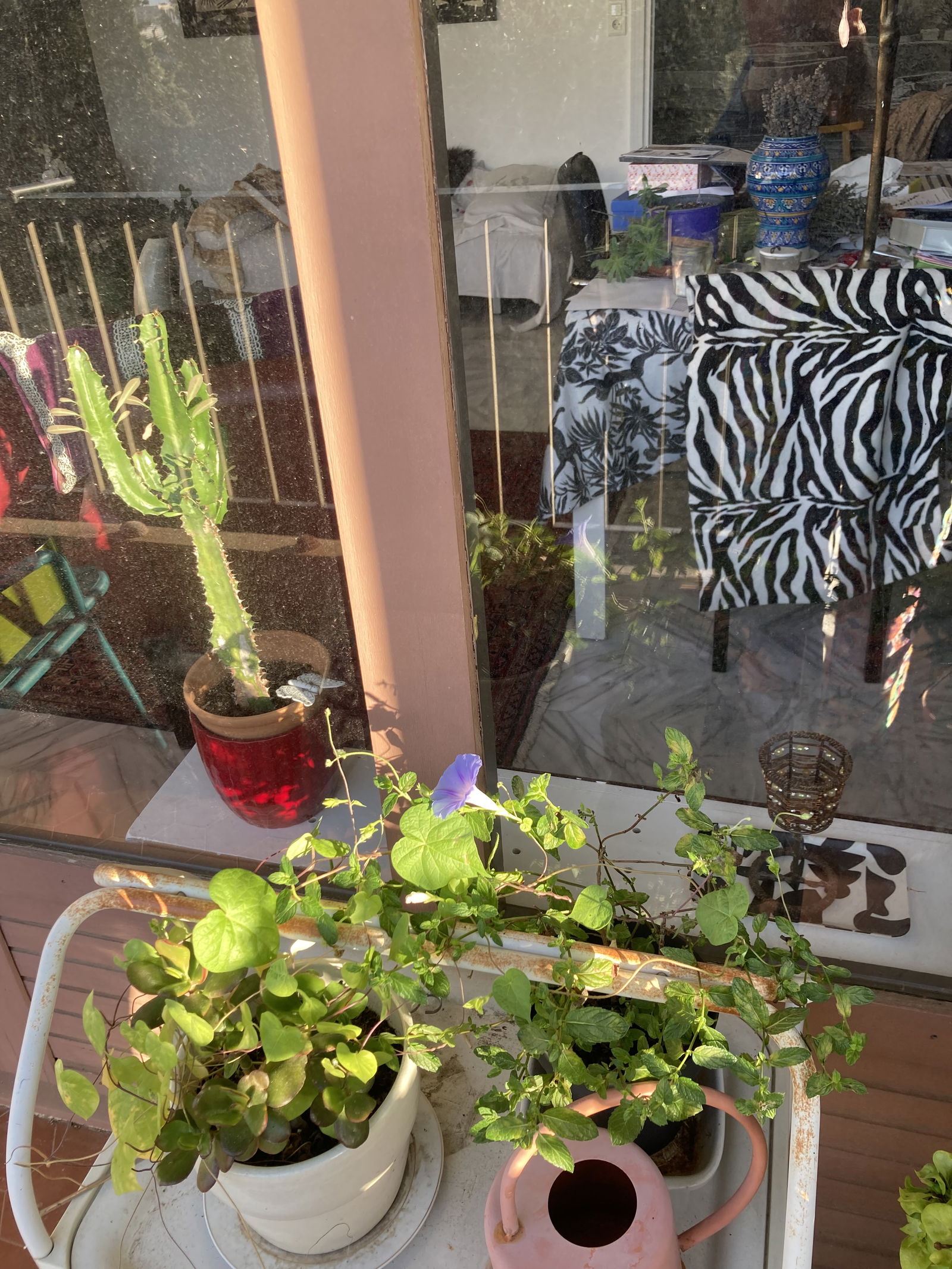 Homestay Nîmes 263962