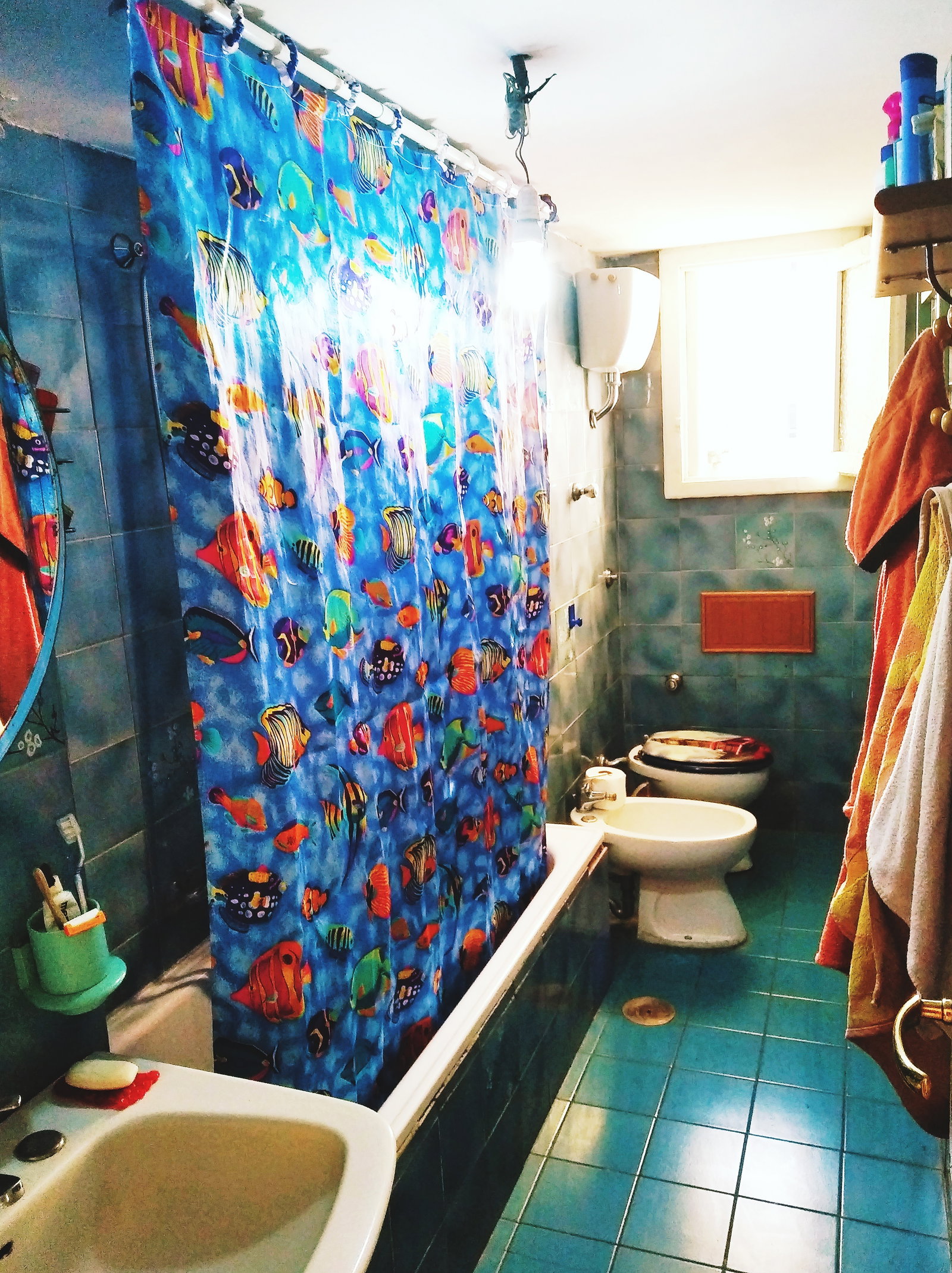 Hemvistelse Napoli 240479