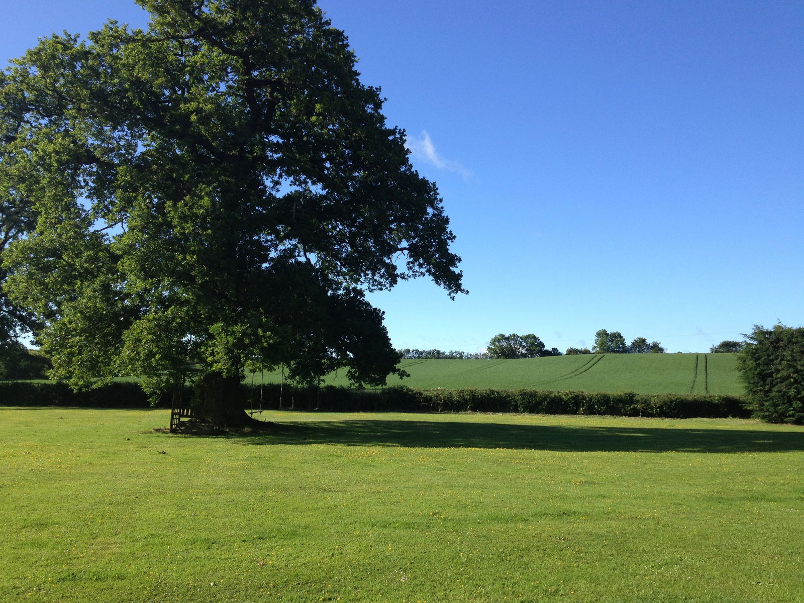 Onafhanklike Ateljee Broughton Green 173317