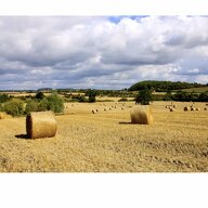 Onafhanklike Ateljee Broughton Green 173317