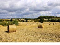 Logement Entier Broughton Green 173317-12