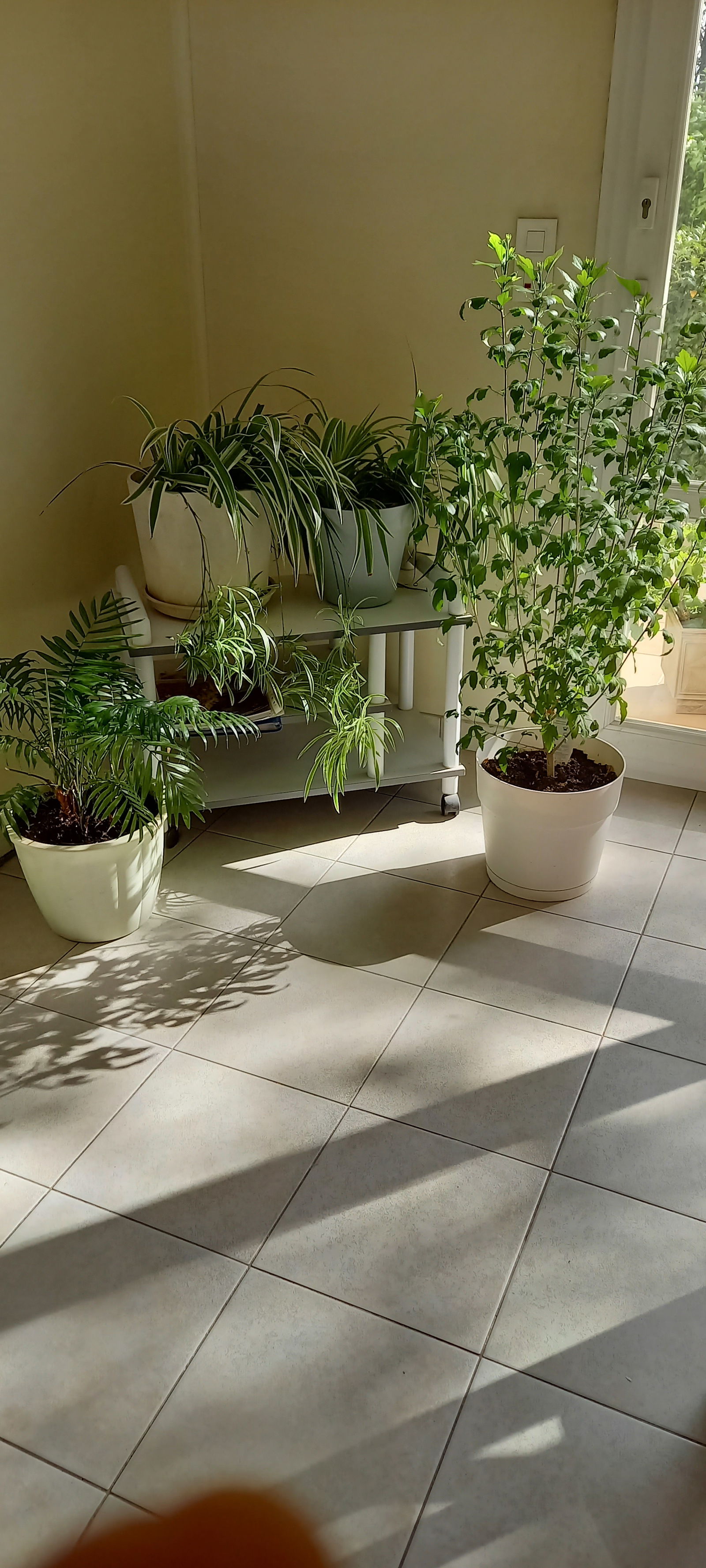 Quedarse En Casa Saint-Jean-de-Braye 295589