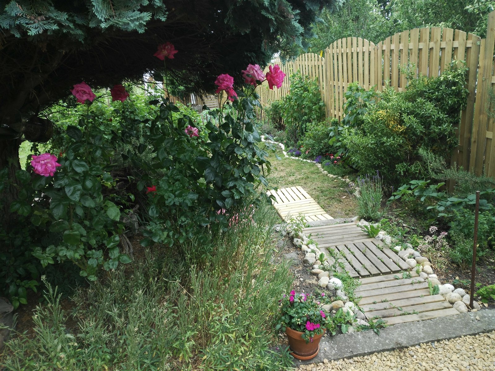 Quedarse En Casa Charleroi 243204