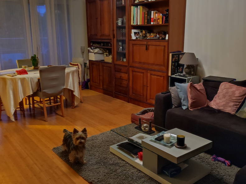 Chambre Chez L'habitant Montreuil 259585-2