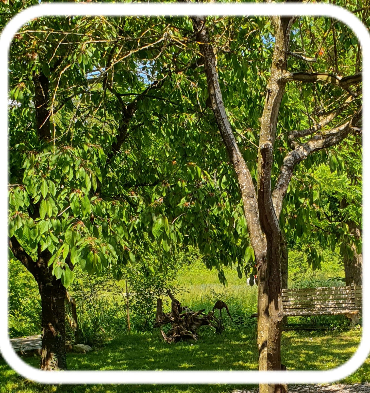 Zakwaterowanie U Rodziny Cheyres-Châbles 583121