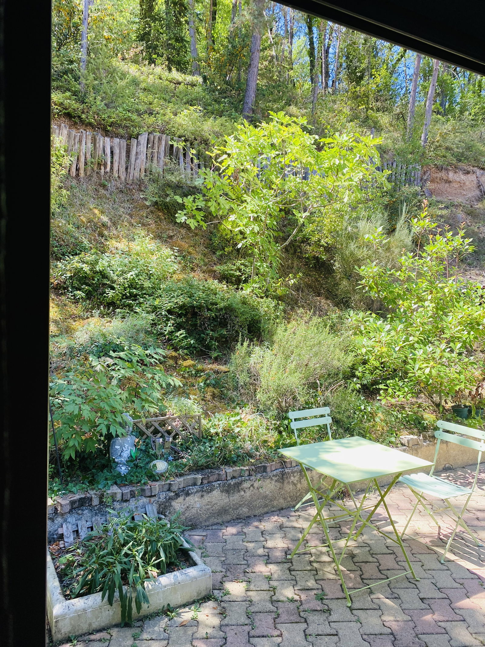 Homestay Montignac-Lascaux 592938