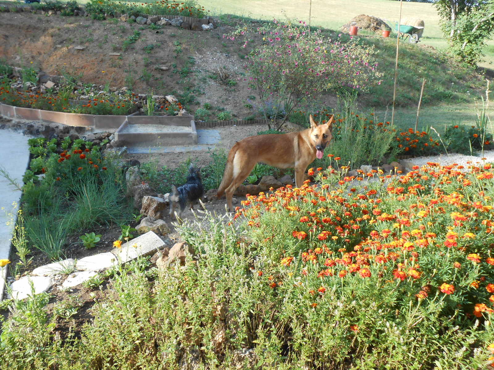Camere Per Gli Ospiti Vergt-de-Biron 163391