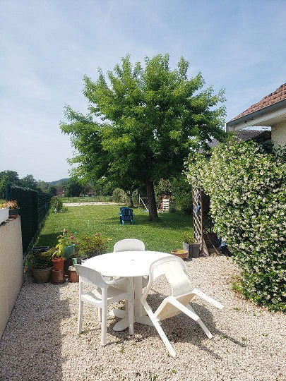 Homestay Siros 388361