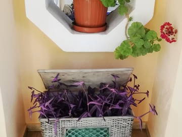 Logement Entier Undefined 157609-23