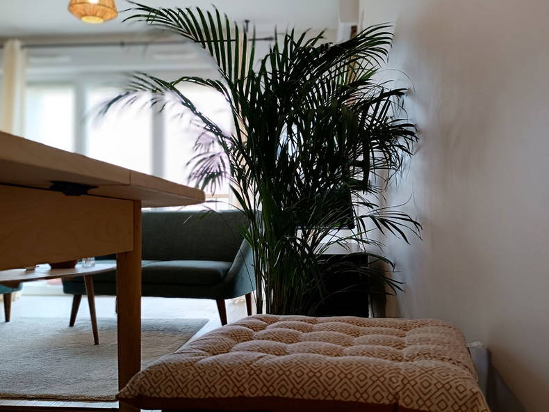 Colocation Cergy 263386-4